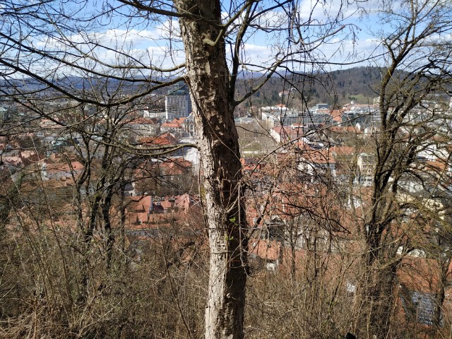 IMG_20190320_122507
