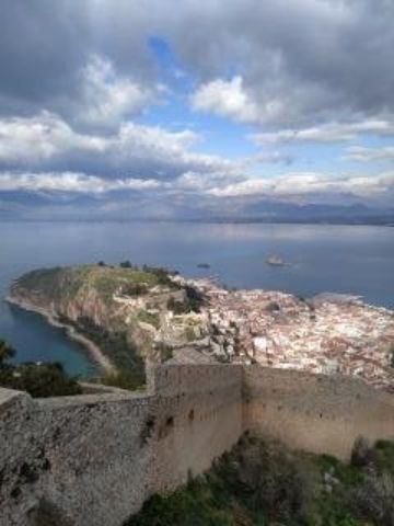 PALAMIDI (7)