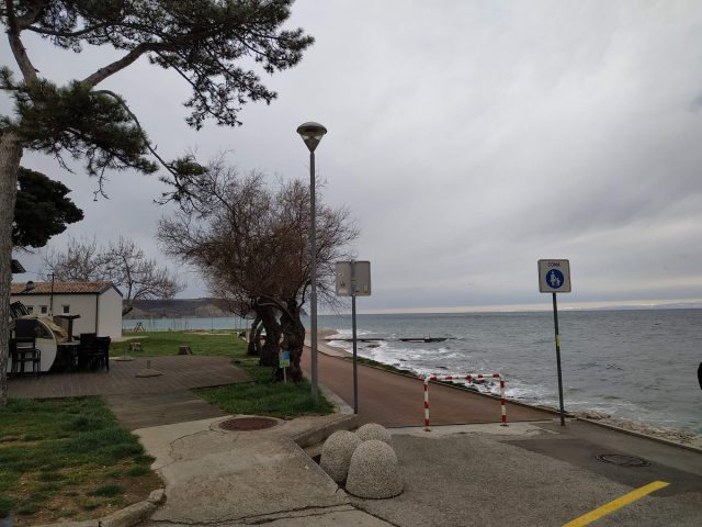 IMG_20190319_083949